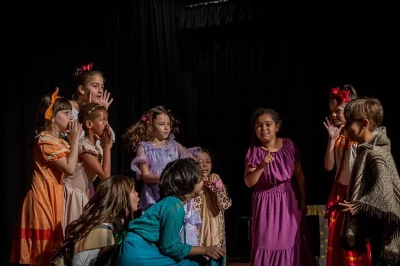 teatro infantil regional boa vista