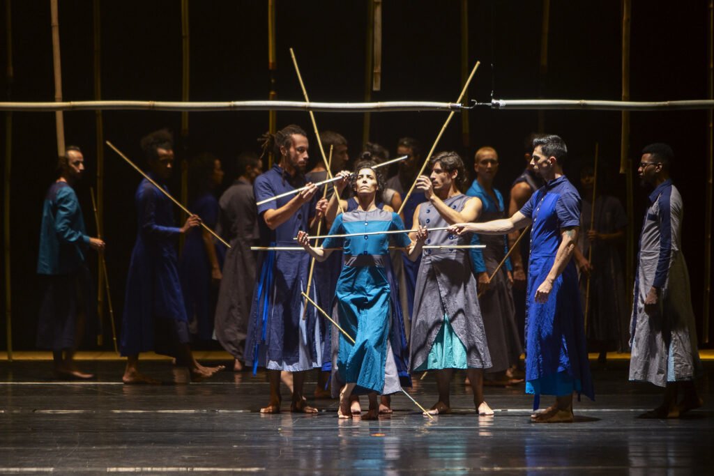 Terra-brasilis-outras-estacoes-Maringas-Maciel (1)