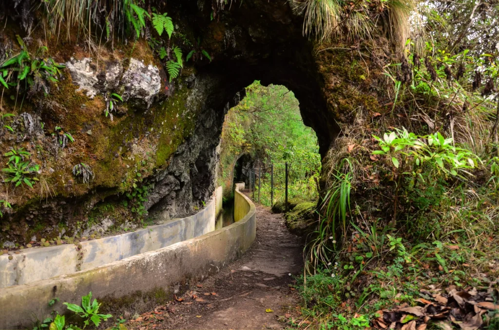 Levada do Furado - Turismo da Madeira