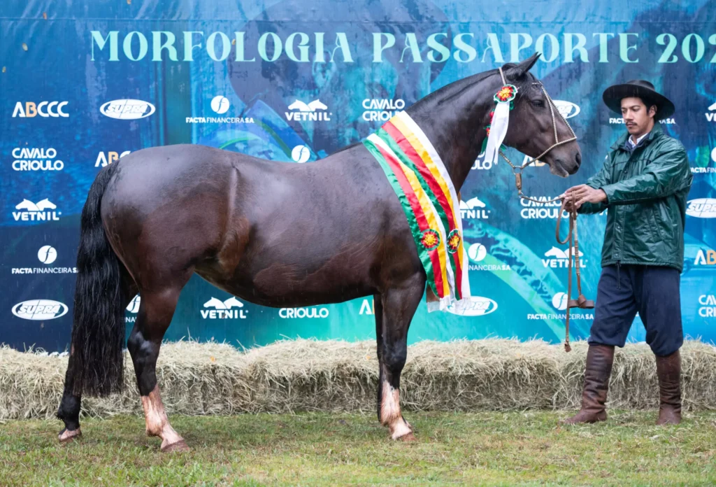 Macanilha-do-Rosal-Credito-Leandro-Vieira-Divulgacao