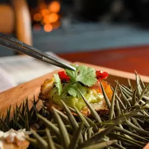 Wood Season Celebration Marcos Moreira