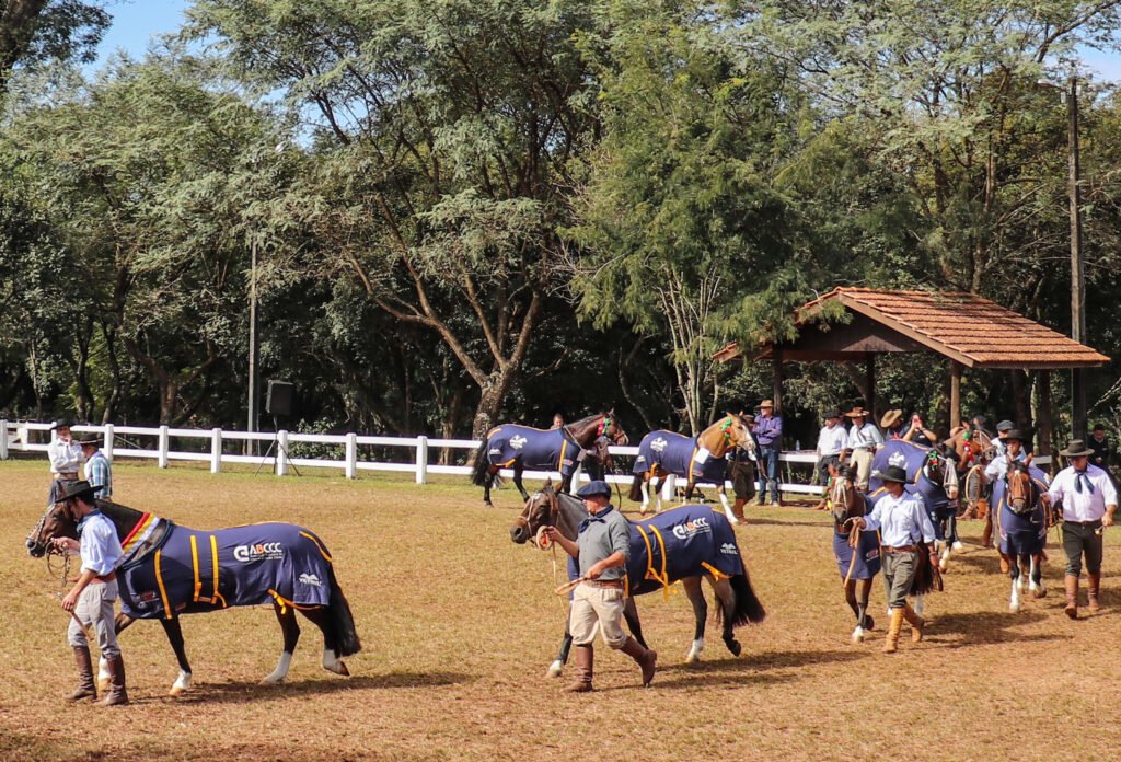 Passaporte Pato Branco - Crédito Daymon Grocheviski Divulgação