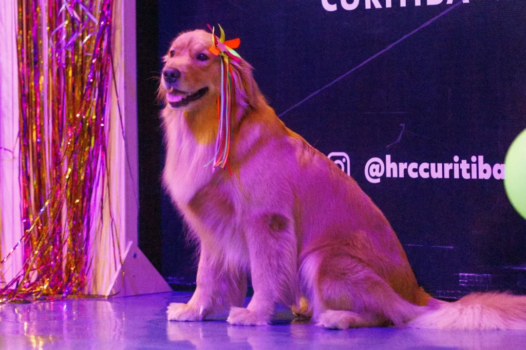 Uma-Festa-Junina-para-pets-e-tutores-e-toda-familia-curtirem-juntos