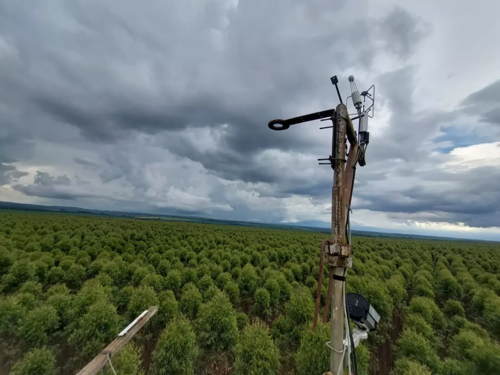 Programa Cooperativo Eucflux