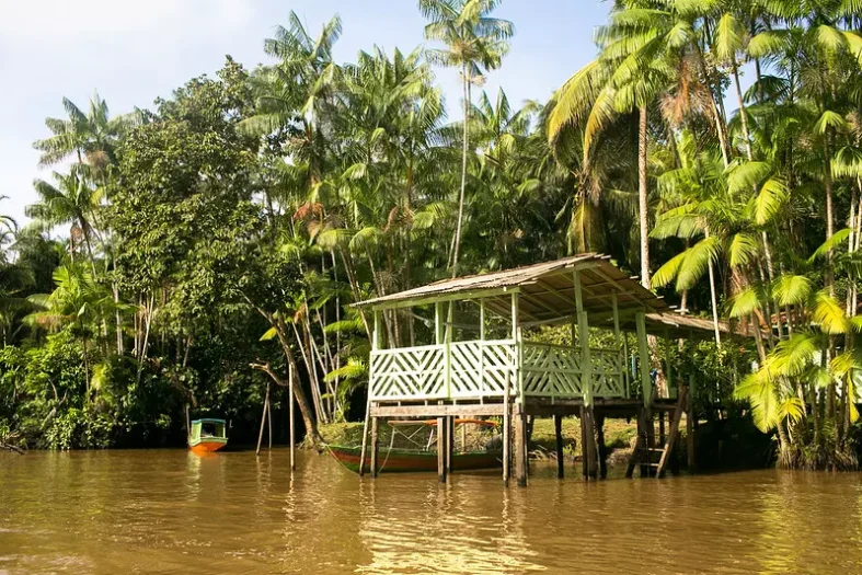 Foto por Bruna Brandão - MTUR (crédito obrigatório)Ilha do Combú