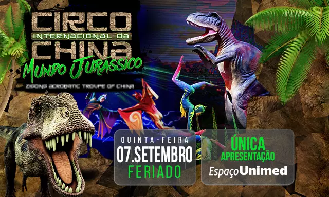 Circo Internacional da China