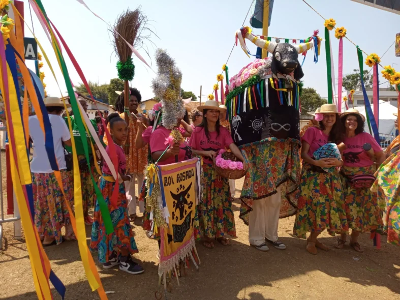 Festival-de-Folclore-de-Jequitiba-foto-Ivana-Andrade