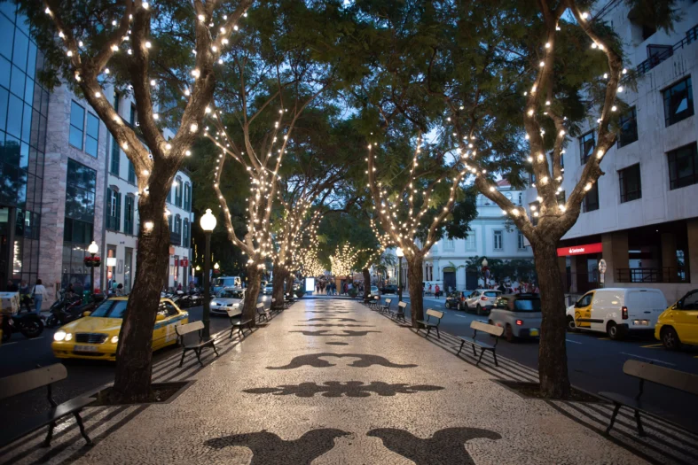 Natal e Fim do Ano 20221281©Francisco Correia
