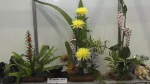 ikebana