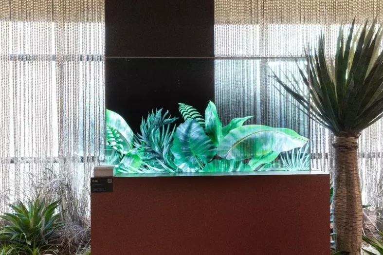 Proposta da LG Business Solutions é mostrar como tecnologias voltadas ao mercado B2B também podem ser aplicadas em ambientes residenciais. Foto: Divulgação LG.