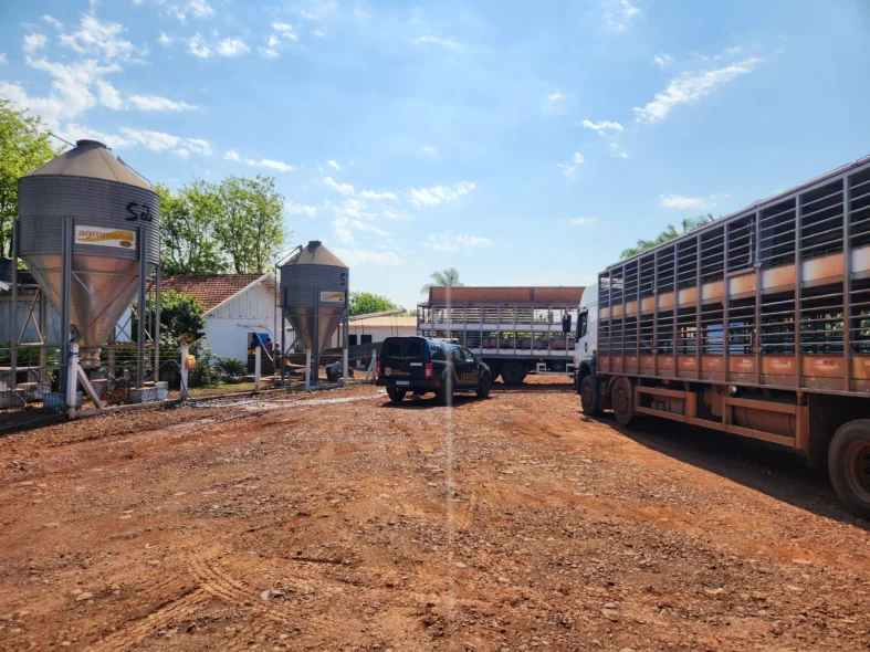 Operação Resgate III - apreensão em Nova Santa Rosa no Paraná - divulgação