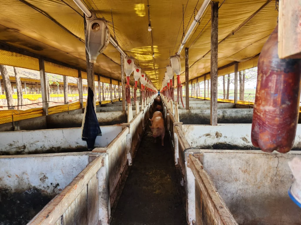 Operação Resgate III