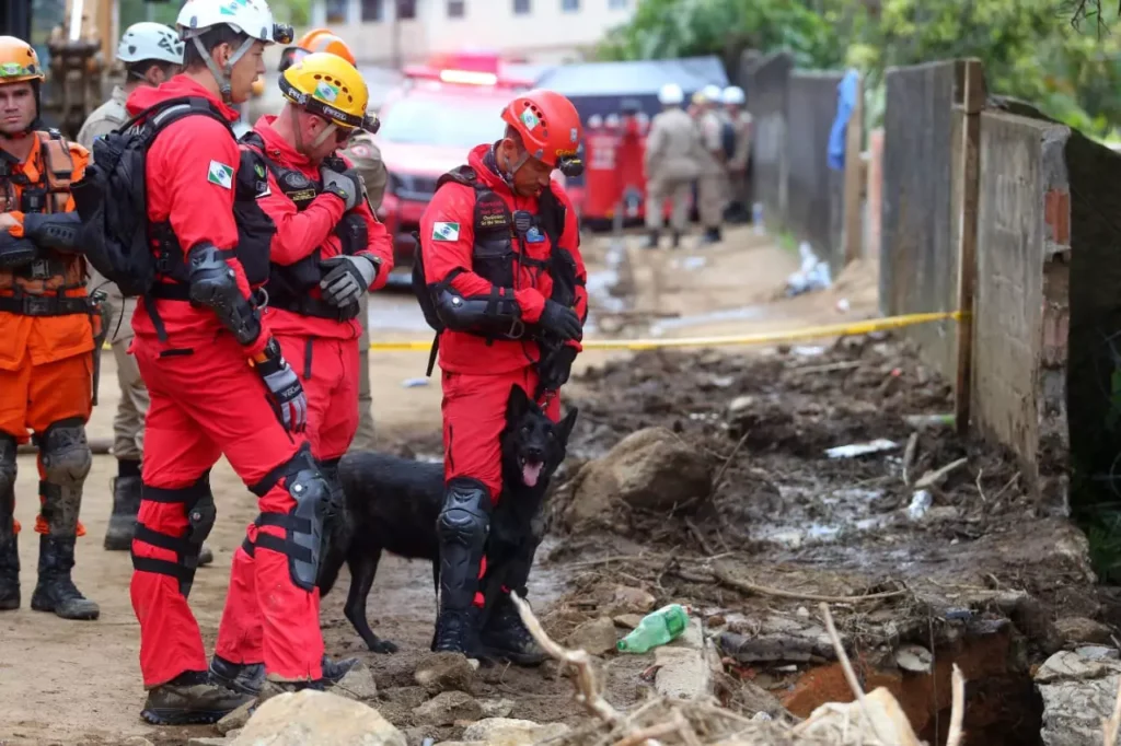 bombeiros busca com cães