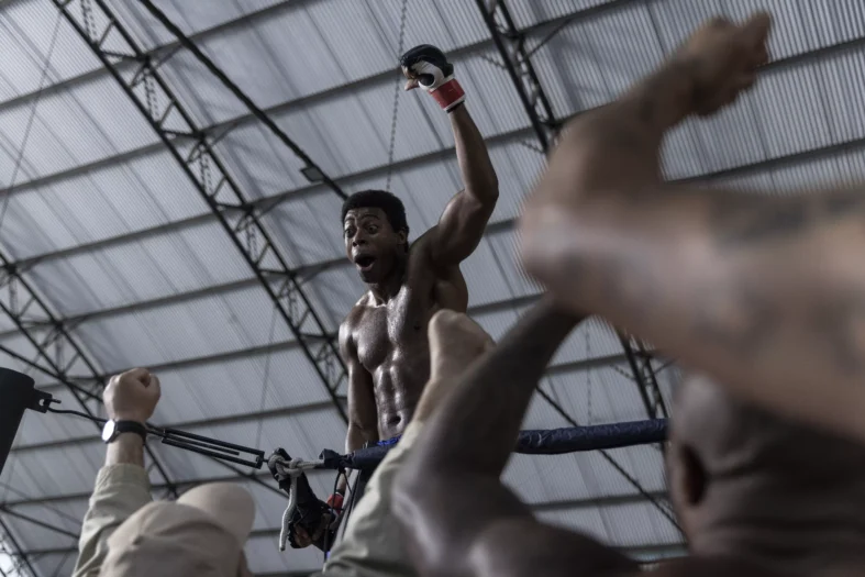 Anderson-Spider-Sillva-Paramount