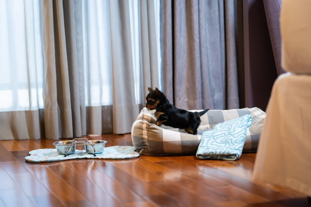 Turismo pet friendly