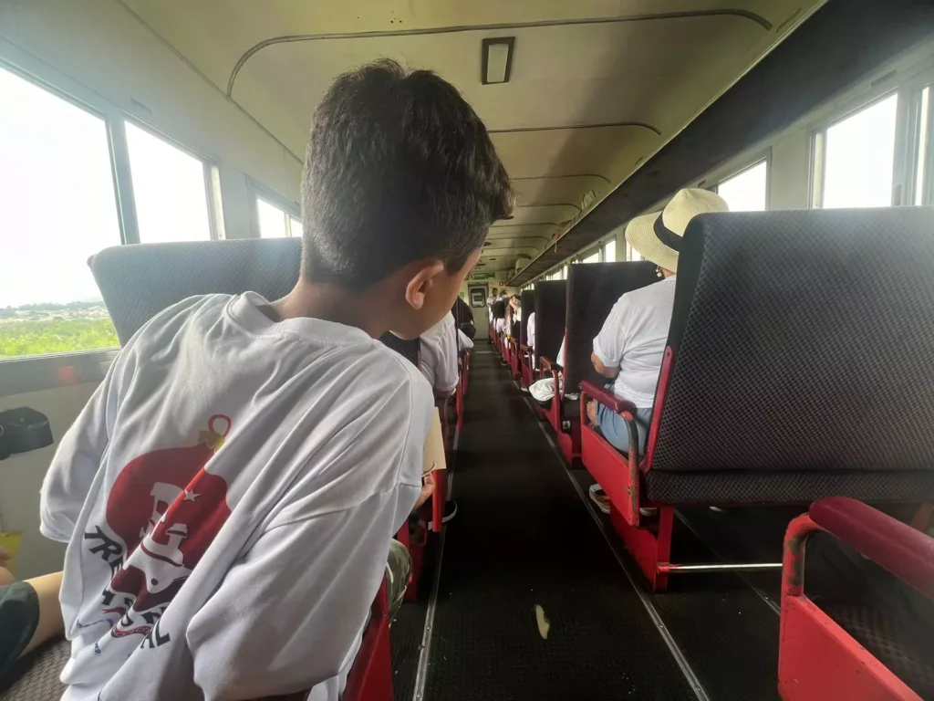 Trem de Natal Serra Verde Express