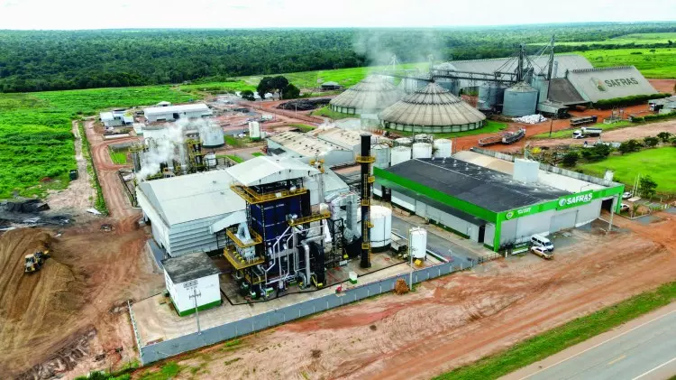 empreendedorismo_grupo-safras