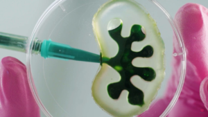 coracao-artificial-3d