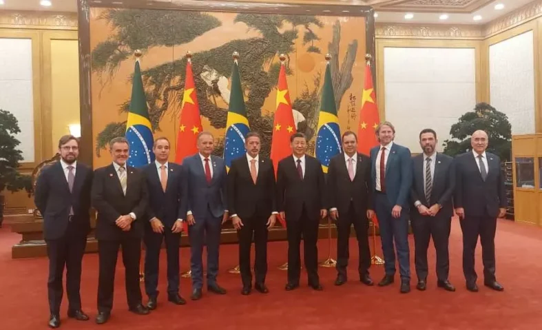 chineses-zeca-driceu