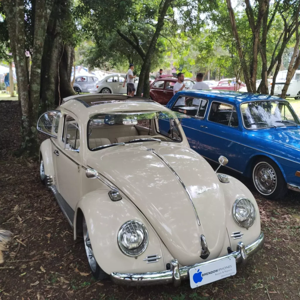 dia-nacional-fusca-curitiba