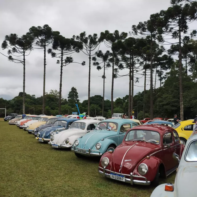 dia-nacional-fusca-curitiba