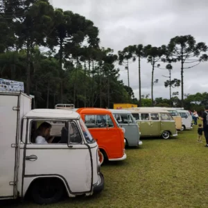 dia-nacional-fusca-curitiba