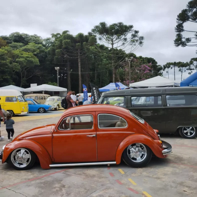 dia-nacional-fusca-curitiba