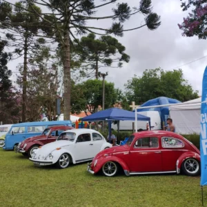 dia-nacional-fusca-curitiba
