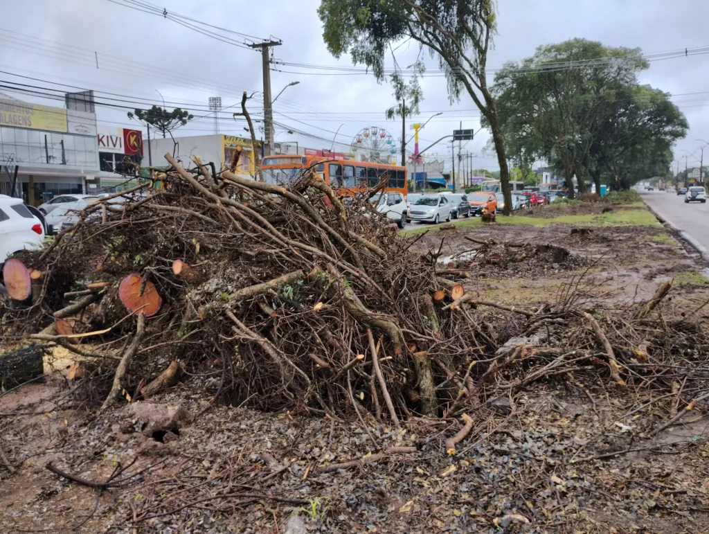 Avenida Victor Ferreira do Amaral
