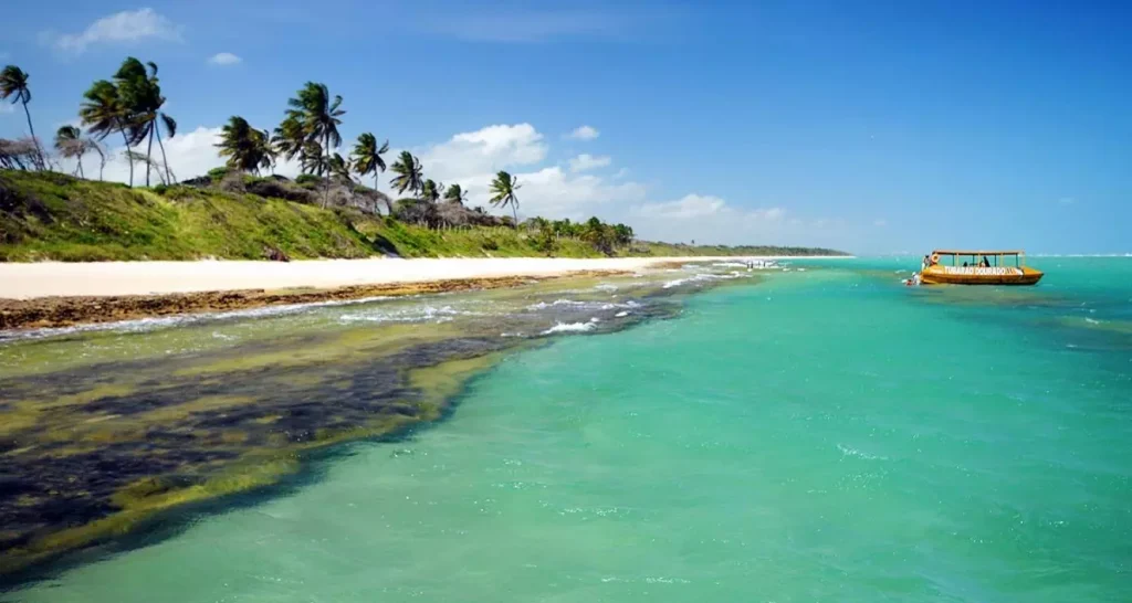 Alagoas: estado é um dos campeões de vendas na operadora para o período de Carnaval divulgação CVC Corp