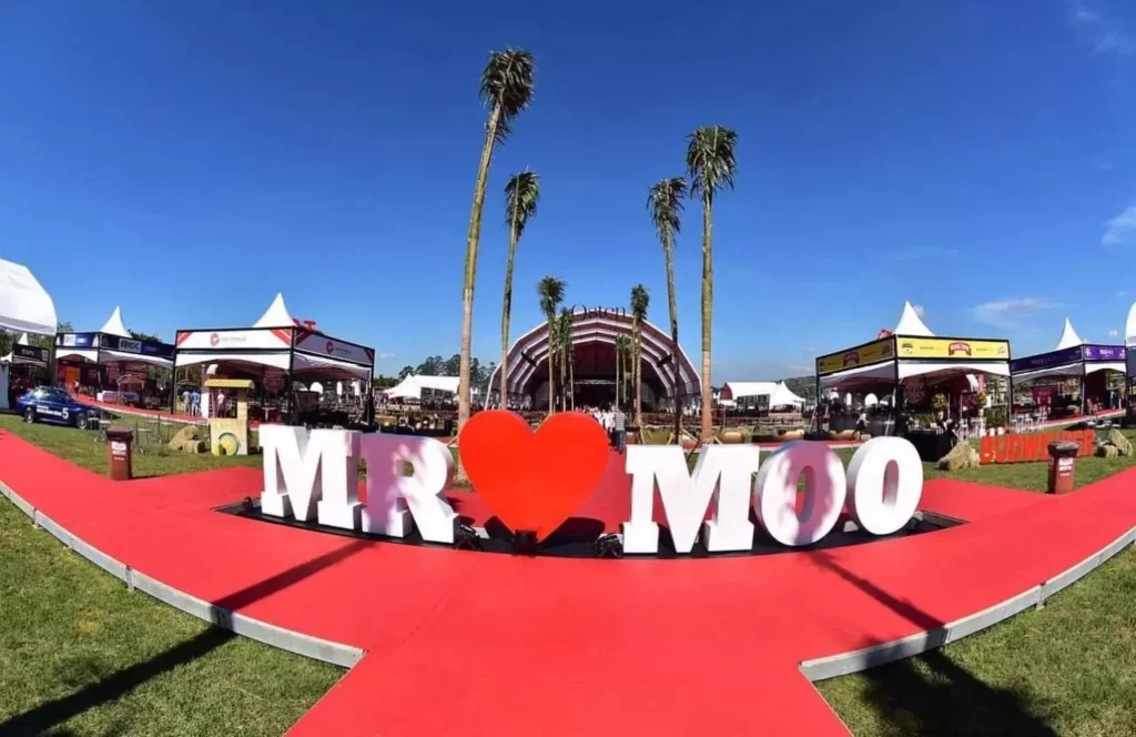 Festival Mr. Moo
