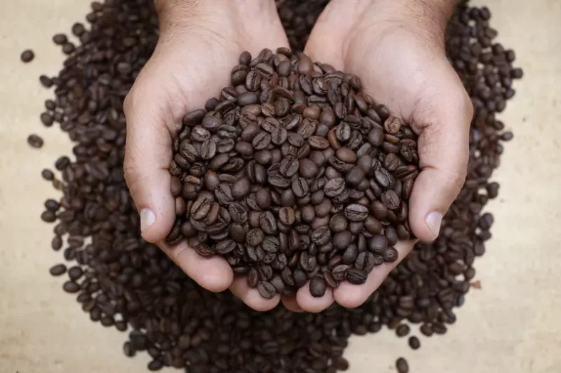 Indicações Geográficas