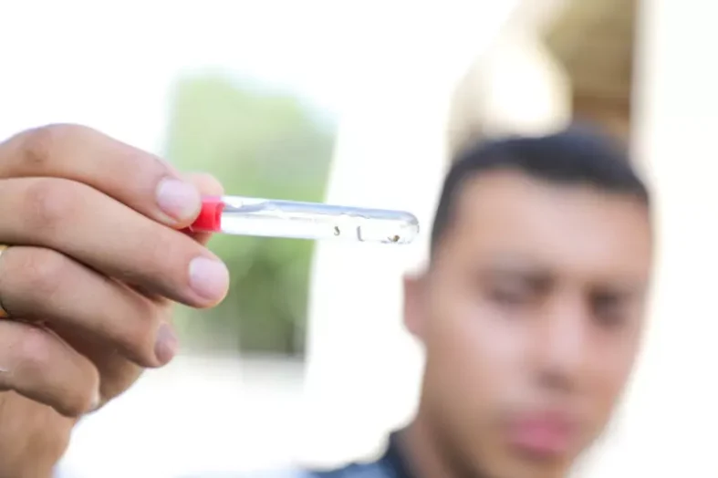 prefeitura-pinhais-contra-dengue