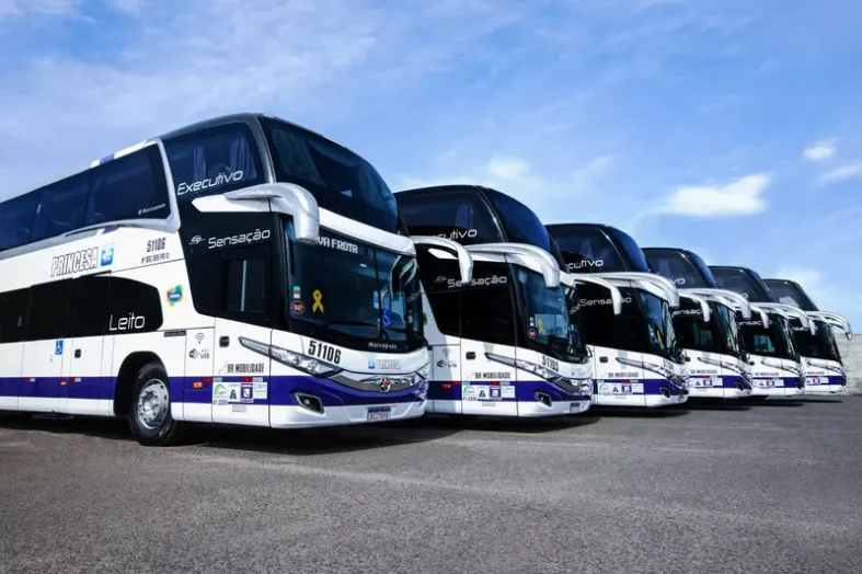 marco-trasnsporte-onibus