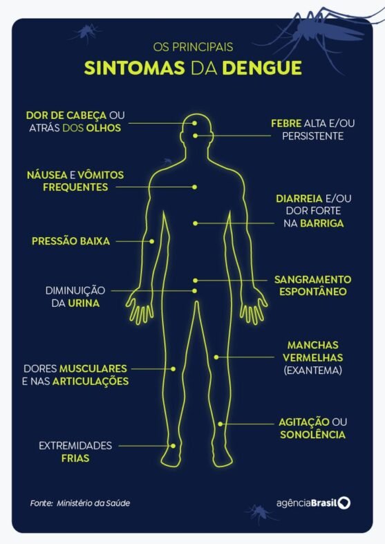 arte sintomas dengue