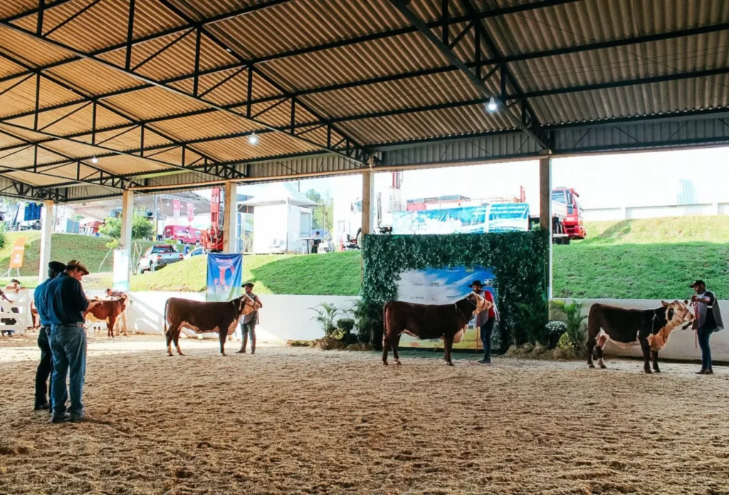 Exposição Francisco Beltrão - Crédito Dhésika Vidikin Divulgação