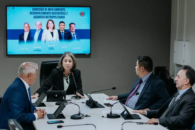 O grupo analisa matérias relacionadas ao saneamento básico, à proteção, à conservação e à recuperação dos recursos naturais, entre outras. (Foto: Rodrigo Fonseca/CMC)