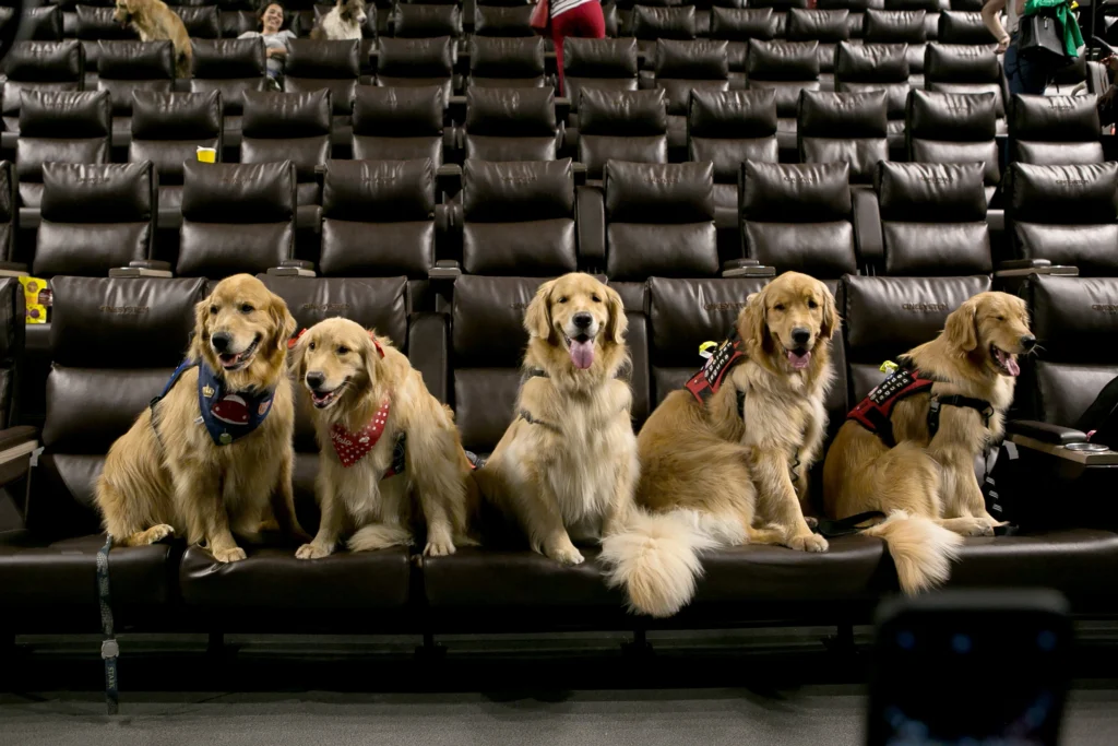 CinePets