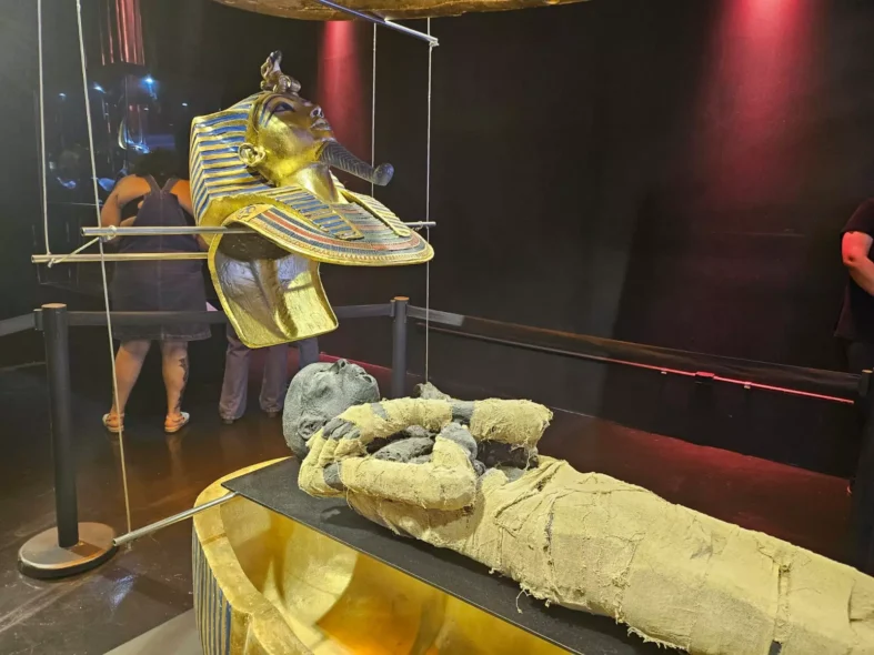 DivulgaçãoTUTANKAMON, UMA EXPERIÊNCIA IMERSIVA
