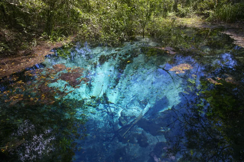 Flávio AndréRio Sucuri