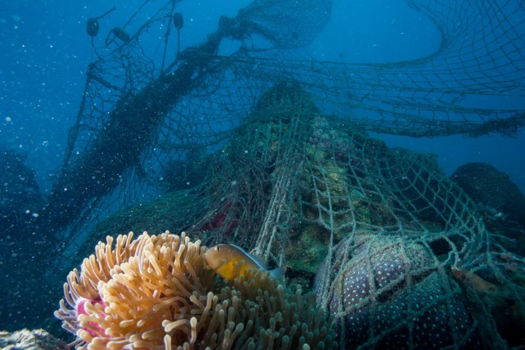 WWF - Ghost fishing net - Indian Ocean, Zanzibar.jpg