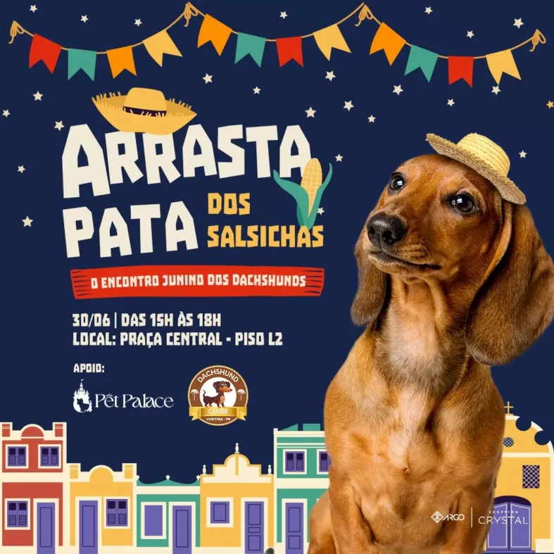 Arrasta Pata juninos