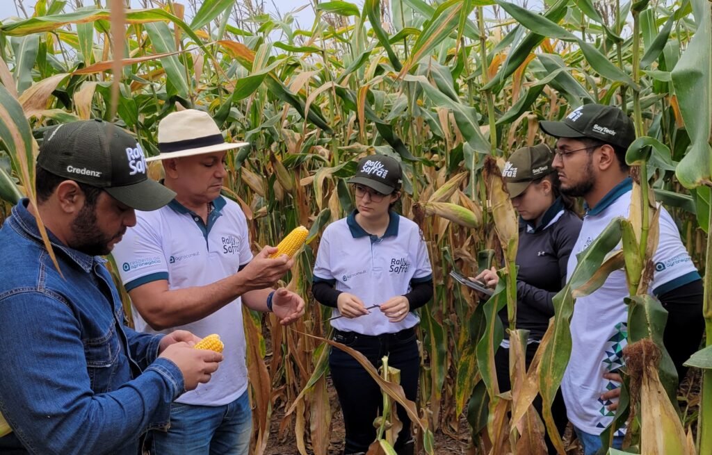 Técnicos do Rally da Safra avaliam lavoura de milho Divulgação