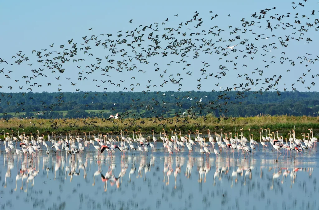 Espaço de Visitação e Observação de Aves - EVOA Turismo de Lisboa