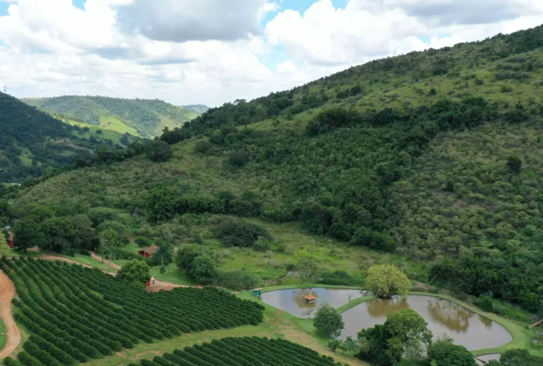  Jungheinrich Brasil