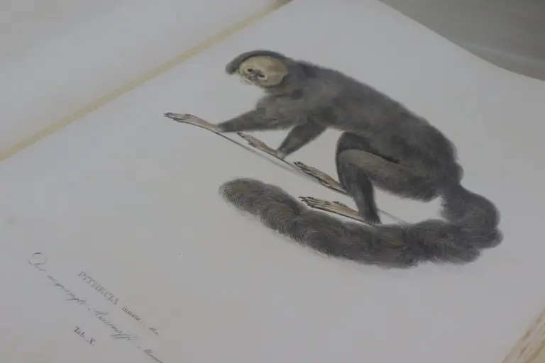 Foto: Janine Valente (MPEG)