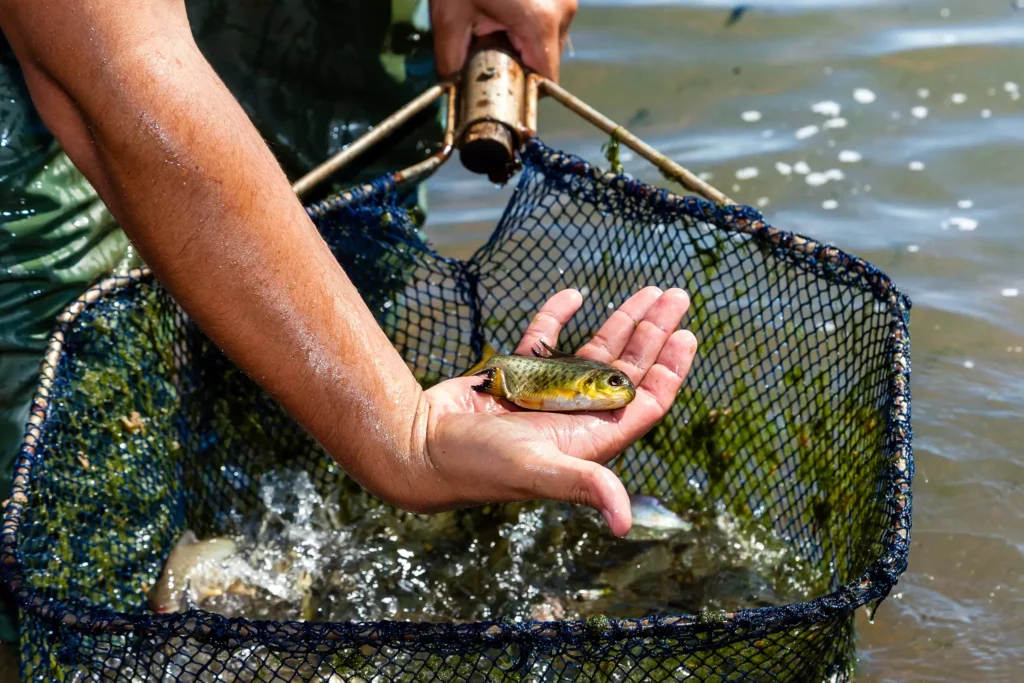 Itaipu e Itaipu Parquetec