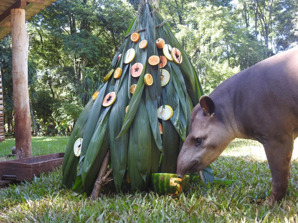 antas-itaipu-binacional