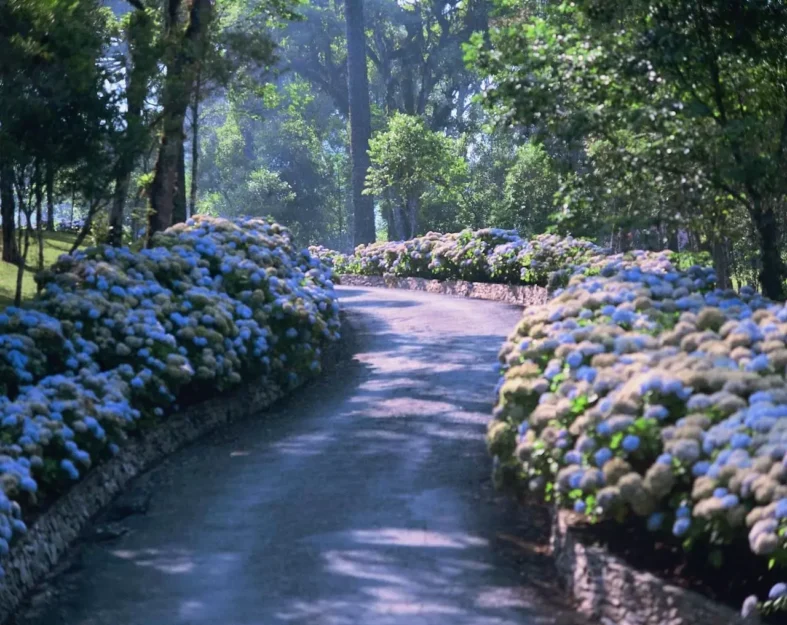 estancia-ouro-fino-curitiba-rmc