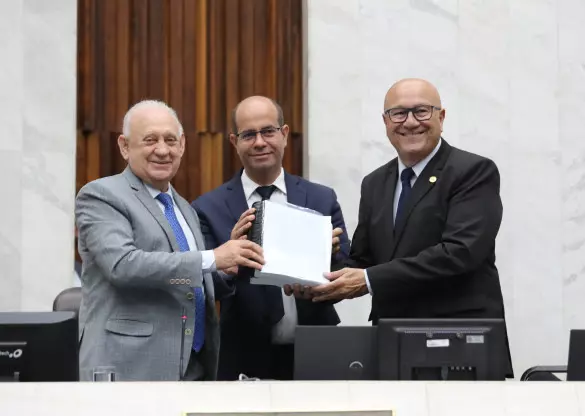 parana__romanelli orçamento